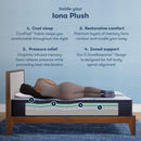 Serta iComfort Aveda Medium Mattress - Queen